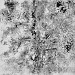 encre et monotype, 2024 - 50x50cm