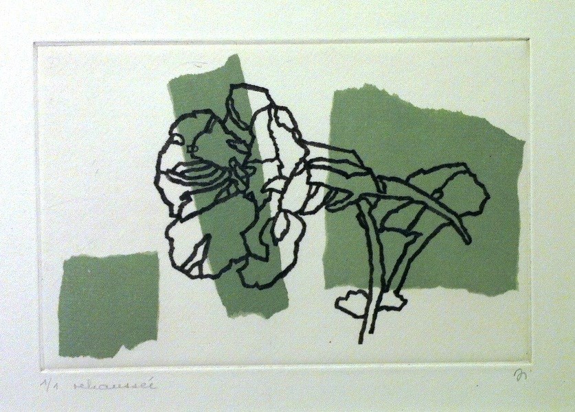 ILSE LIERHAMMER