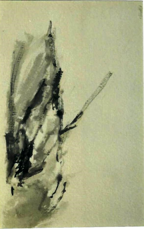 MARIANNE DECOSTERD